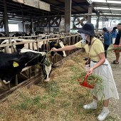 ������Կ���ţ����