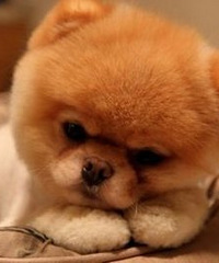 ����ĸ�ĵ��׸ò��ø����Ů���������º����Ժ��Կ�