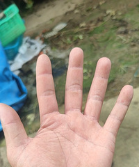 185+��80������Ҹ���Ե��