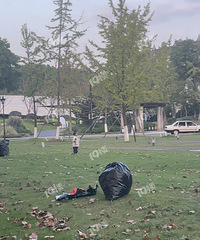 ��ҲҪ�������˲����׶�԰���ü���Ҷ����ҵ�����˼��˺ü�����