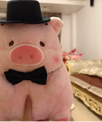 ���˺þã�����ѡ����lulu����ѹ������