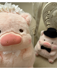 ���˺þã�����ѡ����lulu����ѹ������