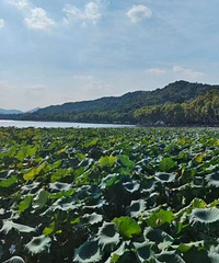 ������ѧ���ˡ���������  �����պ���  �ʹ������κ�������