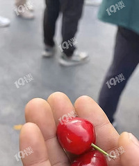 �����ˣ������һ�����˽��ڳ����ӵ������ˣ��ֳ���ɽ�˺���