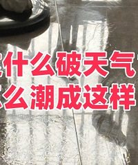 ��֪��������Ϊ�����ֻ�÷����...