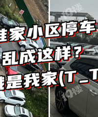 ��ҵҲ�ܲ��á�զ���أ�