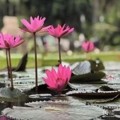 ΪɶҪ��ĥ����