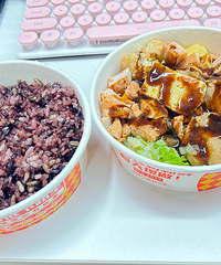 ��֬�ڵĽ���  ���������ʳ�����������Թ��� ���óԣ�