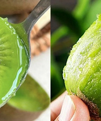 �û����⨺��ң�������������Ҳ�ܳԣ�