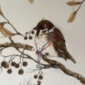 ���߷ǰ����...