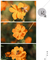 ̨�硰���ݡ�����ļ��� �����Ӹ���һ�������ζ��