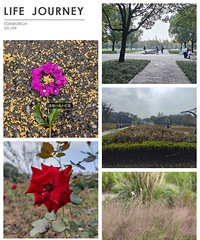 ̨�硰���ݡ�����ļ��� �����Ӹ���һ�������ζ��