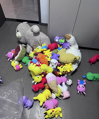 ��˫ʮһ���ﹺ�ﳵ��+��鹫���Ǳر�