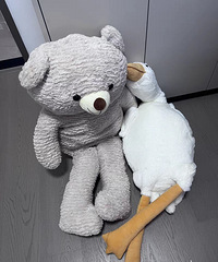 ��˫ʮһ���ﹺ�ﳵ��+��鹫���Ǳر�