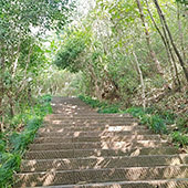 �������ʿ���