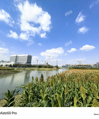 ˫Ϫ�����ع��ƣ��ݻ���1.01~1.05���׵�׼�����ؿ飡