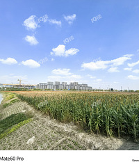 ˫Ϫ�����ع��ƣ��ݻ���1.01~1.05���׵�׼�����ؿ飡