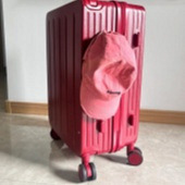 ��ʵ�õ���������䣡