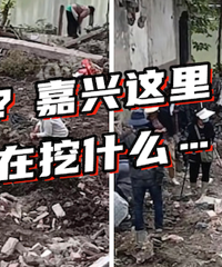 �����ڳ�������