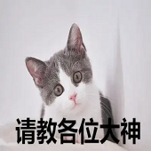 ���н�û��ǿ����̺�