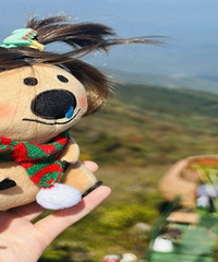 ����ͽ��С�书ɽ�����ɽ��