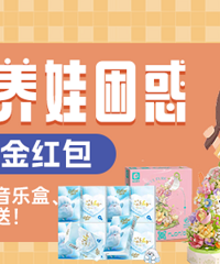 ɹ��������������ͺ����ľ������