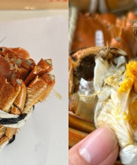 �������κ���բз��19¥�����ҵ��ˣ�