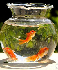 ������ô��������