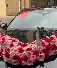 �Ƽ����ڱ������!!!