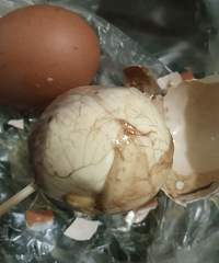 С�ԣ�ʮ���շ�˵������Ǹҳ���