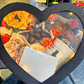 ����������������