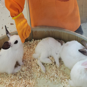 �涯��ĵ�Խ��Խ����