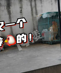 ����Ϸ�ƣ���λ�ô��������ˡ�