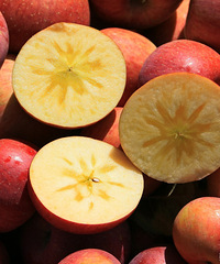 [��Դ��ƻ��]�Ⱥ츻ʿ�óԣ������ʸߴ�80%������֭��