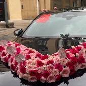 ��ɫ�ܸ߼��Ļ鳵����