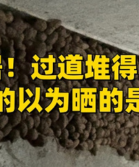 �����ھӣ���֪����Ϊɹ�����أ�