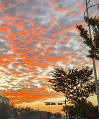 �������һ������