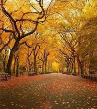 ѧУ��������ѧ����Բ�ȥ����ʦ�����뷨��