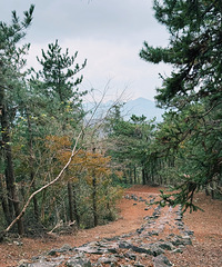 �＾������ɽ�����¸߶� ����ͽ�����ཬ�� ȫ��12km