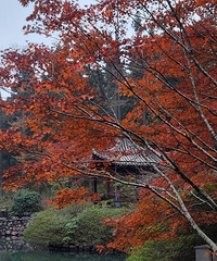 �＾������ɽ�����¸߶� ����ͽ�����ཬ�� ȫ��12km