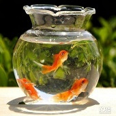 ������ô��������