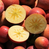 ����֭�ĳ�ƻ����