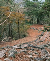 ����ɽ�����¸߶� ͽ�����ཬ�� 12km