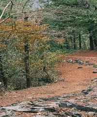 �＾�����Ƽ�������ͽ��·��