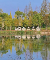 ���˵Ŀ�ɭ������ôͻȻ���ˣ���������Ŀ��ô��Ҫ�����շѰ�