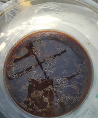 ������ݵ��滹��һ������ĺóԣ�վ��·�߶������ˣ�