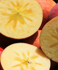 �Ⱥ츻ʿ�óԣ���Դ�����ĳ�ƻ�� �����֭��