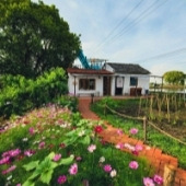 ���¾ɷ�������ĺã�