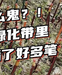 ˭�ҵĶ����磿