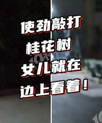 �������ļҽ̣�